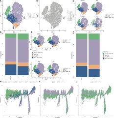 Frontiers | Integrated single-cell multiomics reveals novel immune ...