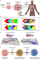 Functionalized Lineage Tracing Can Enable the ... - Frontiers