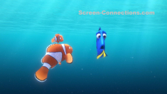 Finding Dory (Finding Dory Morro Bay Clip)
