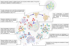 Frontiers | Liquid-Liquid Phase Separation: Unraveling the Enigma of