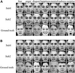 Frontiers | Reconstruction of perceived faces from brain ...