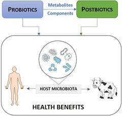 Frontiers | Nature-Based One Health Approaches to Urban ...