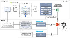 Frontiers | Data-driven support to decision-making in molecular ...