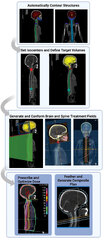 Frontiers | Validation of an automated contouring and treatment ...