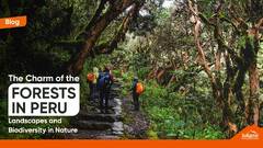 The Charm of the Forests in Peru: Landscapes and Biodiversity in ...