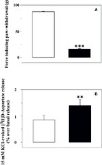 Frontiers | Acute Low Dose of Trazodone Recovers Glutamate Release ...