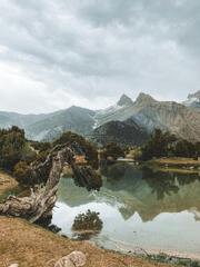 Scenic View of a Lake · Stock Photo