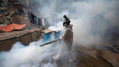 Puerto Rico sounds alarm as dengue fever cases spike | Canada's ...