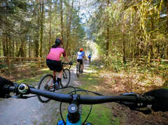 Biking helps prevent knee pain and boosts longevity, studies show ...