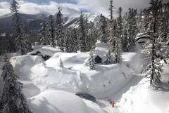 Why Rain on Snow in the California Mountains Worries Scientists ...