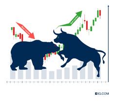 Bull and Bear Market