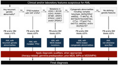 Hemato |-Text | Whats New in the Classification, Diagnosis