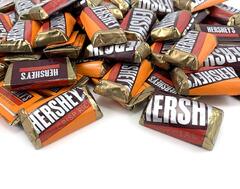 Hershey's Special Dark Favorites Mini Chocolate Bars Variety Assortment Mix Individually Wrapped In Resealable Bag (Hershey's Special Dark Mildly Sweet Chocolate Candy)