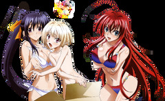 High School DxD - Himejima Akeno, Gasper Vladi & Rias Gremory ...