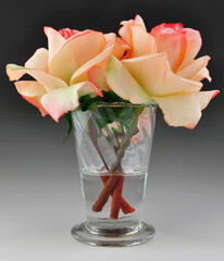 Silk Pink Roses in Glass Vase - Little Obsessed