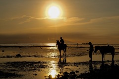 Horse Sunset Silhouette - photo on Pixabay - Pixabay