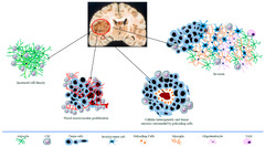 IJMS |-Text | Multifaceted Functional Role of ...