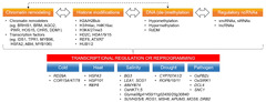 IJMS |-Text | Multifaceted Chromatin Structure and ...