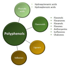 IJMS |-Text | Natural Polyphenols as Modulators of ...