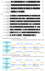 IJMS |-Text | Classical Signaling and Trans-Signaling ...