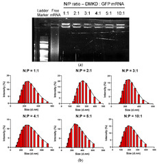 IJMS |-Text | Novel Lipid Nanoparticles Stable and ...