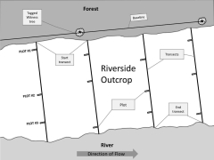 Monitoring%20Over%2022%20Years%20Documents%20Invasion%20of%20Rare%20Riverscour%20...