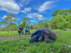 Santa Cruz Island, Galapagos: Where Giant Tortoises Rule and ...