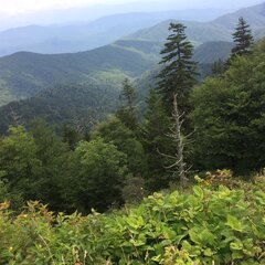 Camping & Hiking in Great Smoky Mountains National Park — One More ...