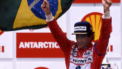 1991 Brazilian Grand Prix (Ayrton Senna 1991 Brazil)