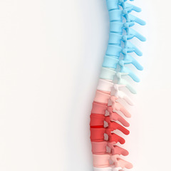 Dermatome Chart 101: Understanding Spinal Nerves, Locations - PMIR