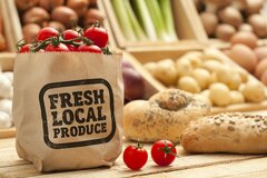 Sustainable Food: The Supply Chain Holds the Key to Success | Food ...