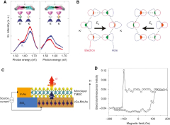 Excitons%20in%20atomically%20thin%202D%20semiconductors%20and%20their%20applications