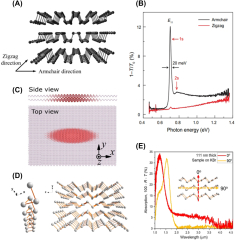 Ultrafast%20optical%20properties%20and%20applications%20of%20anisotropic%202D%20...