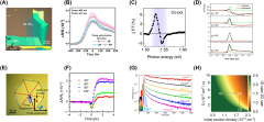 Ultrafast%20optical%20properties%20and%20applications%20of%20anisotropic%202D%20...