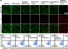 Highly efficient upconversion photodynamic performance of rare ...