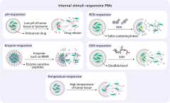 Micelle-based nanoparticles with stimuli-responsive properties for ...