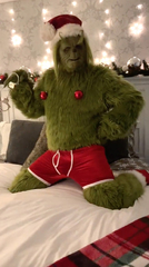 How the Grinch Stole Christmas (Grinch)