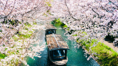 24 Things to Do in Japan, Voted the 'Best Country in the World' by ...