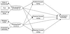 Six-factor model of psychological well-being (The theoretical model of the relations among risk perception of COVID-19, meaning-based resources and psychological well-being amongst healthcare workers)