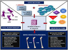 Adsc gene delivery carriers