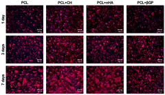 JFB |-Text | Functionalization of PCL-Based Fiber ...