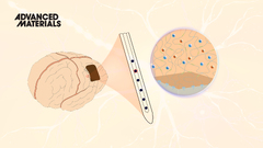 Engineering electrodes with robust conducting hydrogel coating for ...