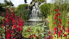 Get Ticket Royal Botanic Gardens Ticket in Kew Gardens Promo ...