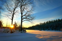 Winter Sunset Behind Distant Forest Canada Quebec