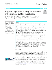 PDF) FT-IR spectroscopy of inclusion complexes of β-cyclodextrin ...