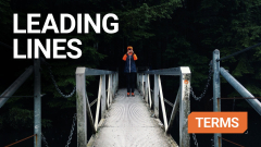 Person standing on a bridge