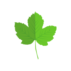 Leaves Vector Nature Royalty-Free Vector Graphic - Pixabay