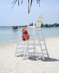 Life Guard Chair - in Teak White Paint Finish - Indonesia Teak ...