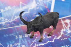 Stock Market Bull Market Picture AndPhotos | On ...