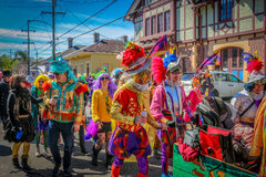 Mardi Gras in New Orleans (Mardi Gras)